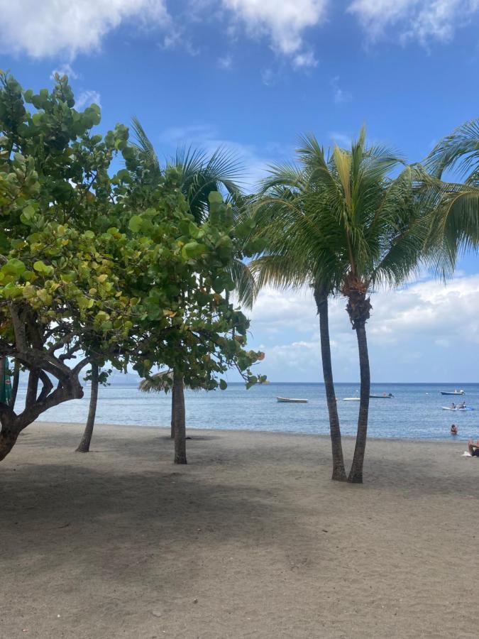 Ti Repos Martinique - Maison Avec Spa Schoelcher Buitenkant foto